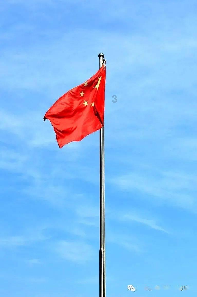 逃离橡子树种植地