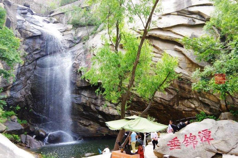 六合镇：农技解民忧 服务暖心头