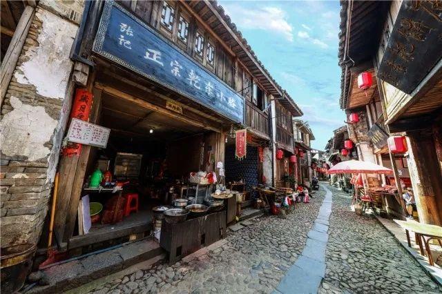 金刚鹦鹉逃生